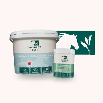 Natures Best Bubblenavi Einsatzgebiete Immunsystem
